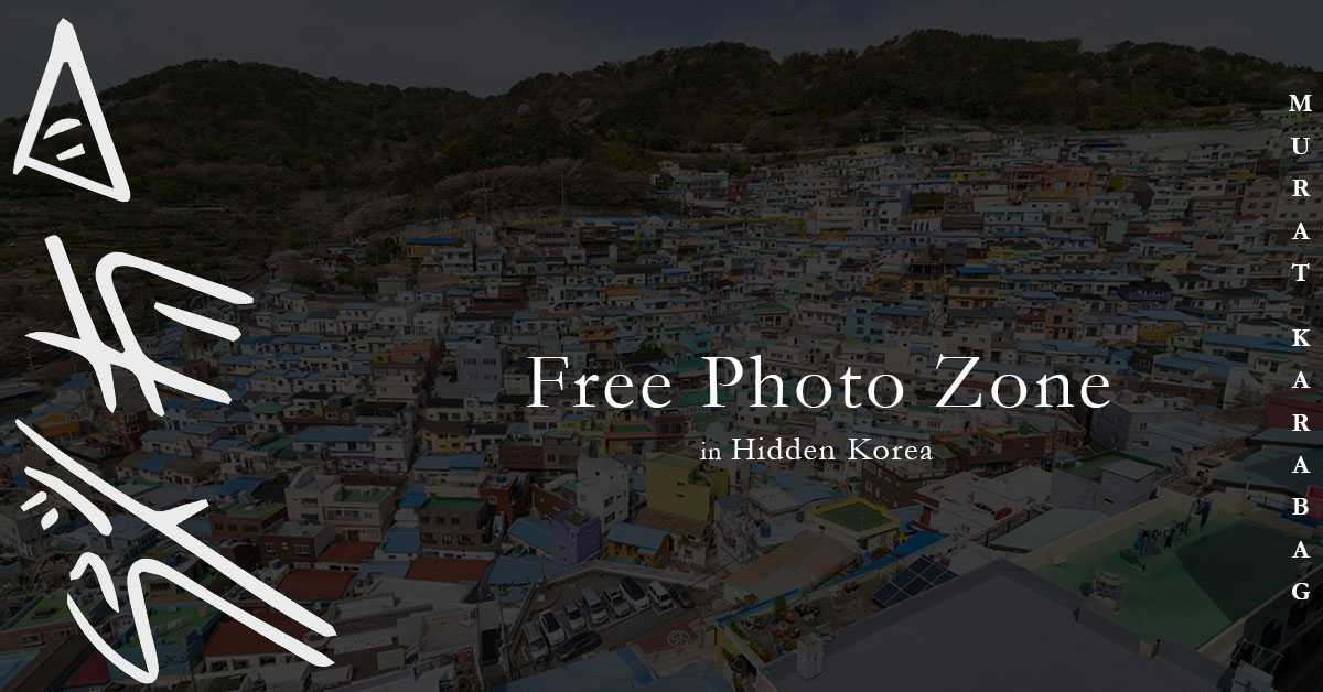 Read more about the article Free Photo Zone