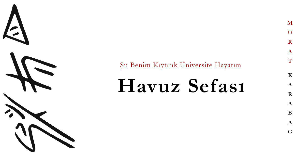 Read more about the article Havuz Sefası