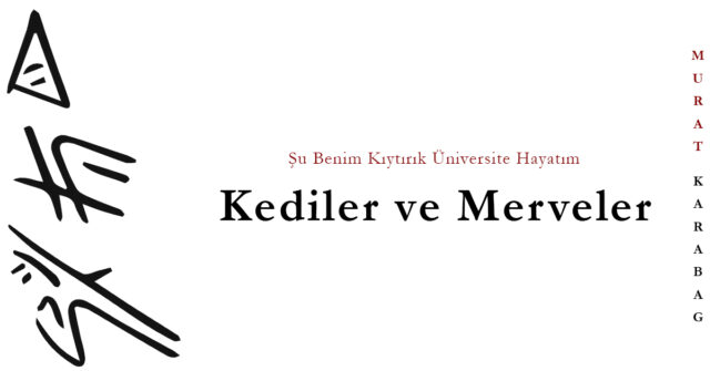 Read more about the article Kediler ve Merveler